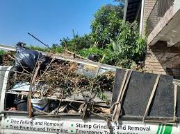 Best Property Management Cleanouts  in Belmont, MS