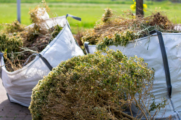 Best Furniture Removal  in Belmont, MS